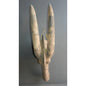 Gurunsi Antelope Mask, Burkina Faso African tribal art
