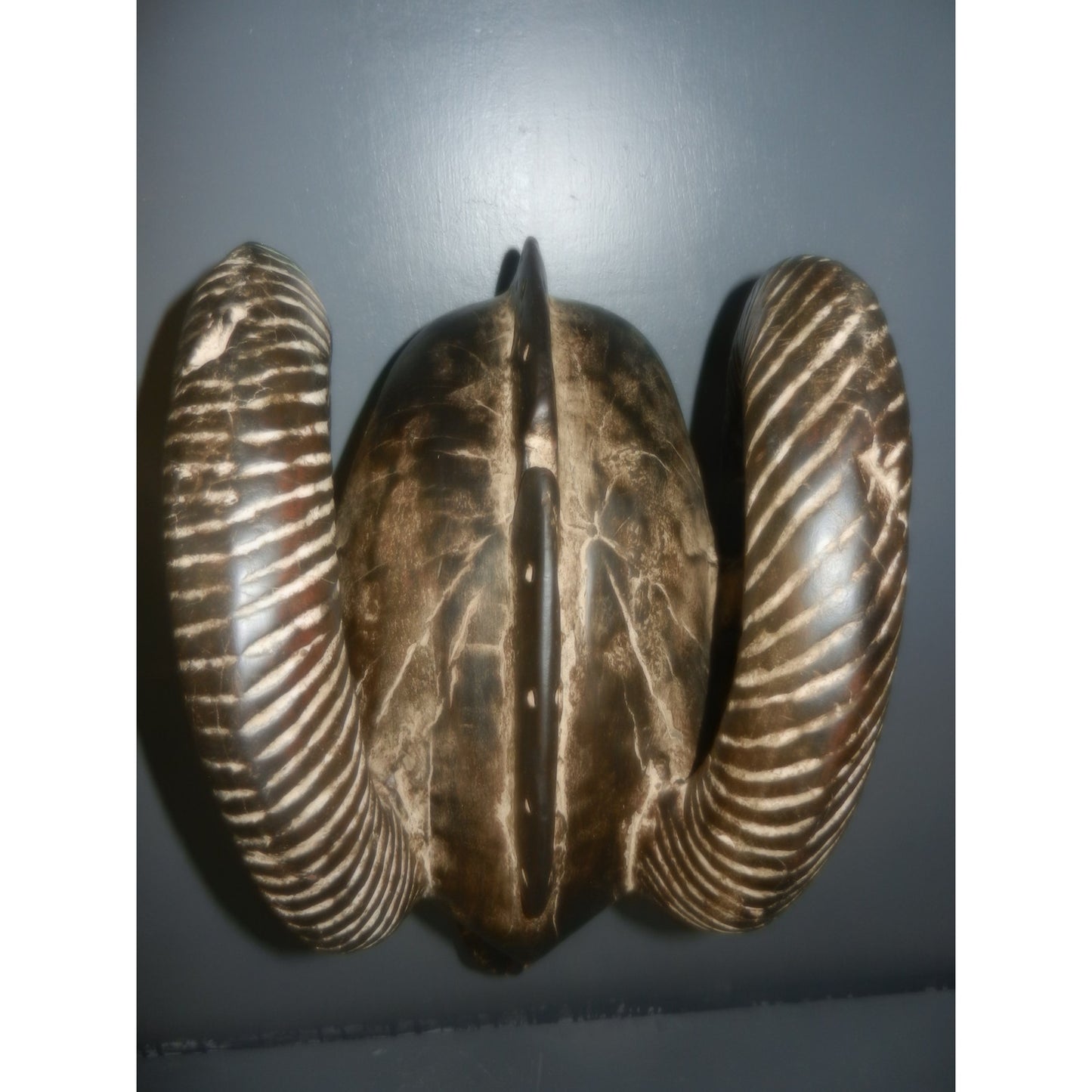 African Art Baule Ram Mask - Hand-Carved Wood - Ivory Coast