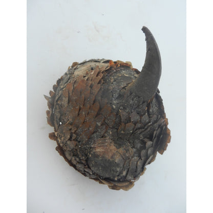 Rare Lega Kongo Fetishist's Hat - Late 19th Century